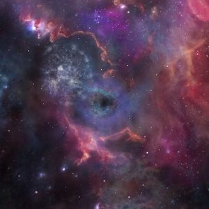 Meet your Posher, Dakota